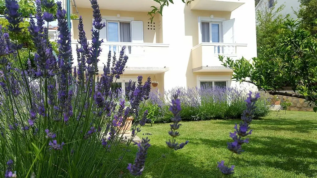 Apartment Branka Banjol